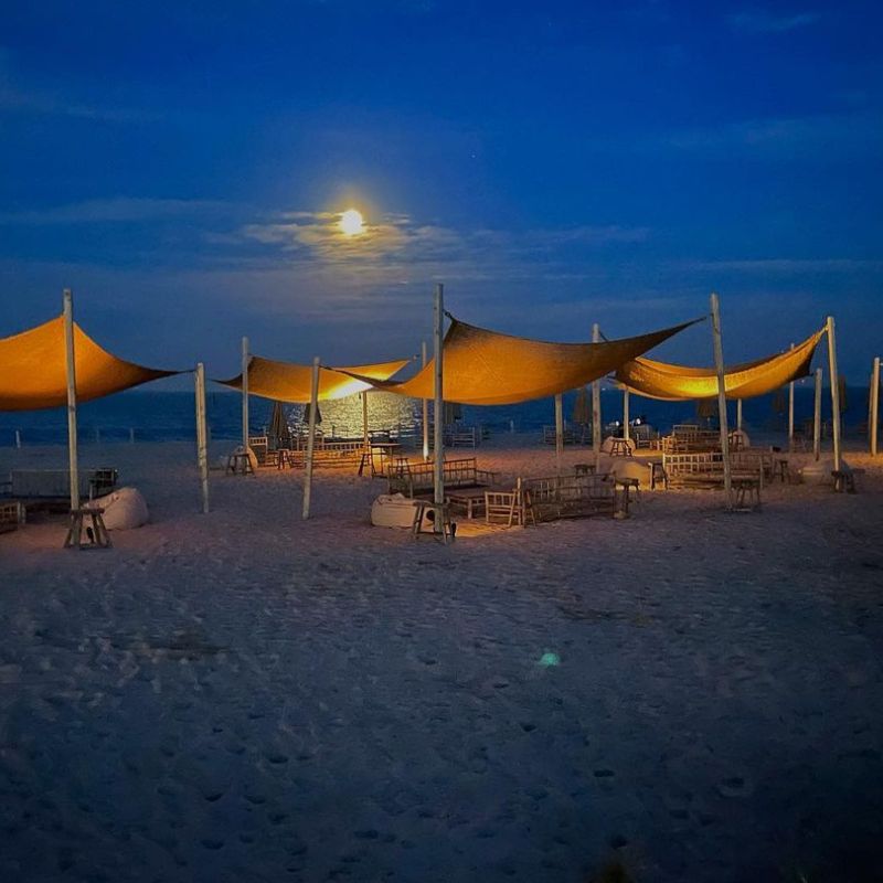 coconut fiber canvas