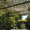 green camouflage net